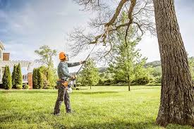 Best Firewood Processing and Delivery  in Damascus, MD