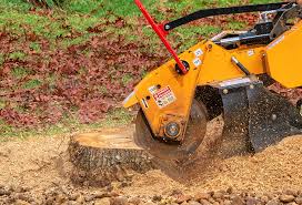 Landscape Design and Installation in Damascus, MD